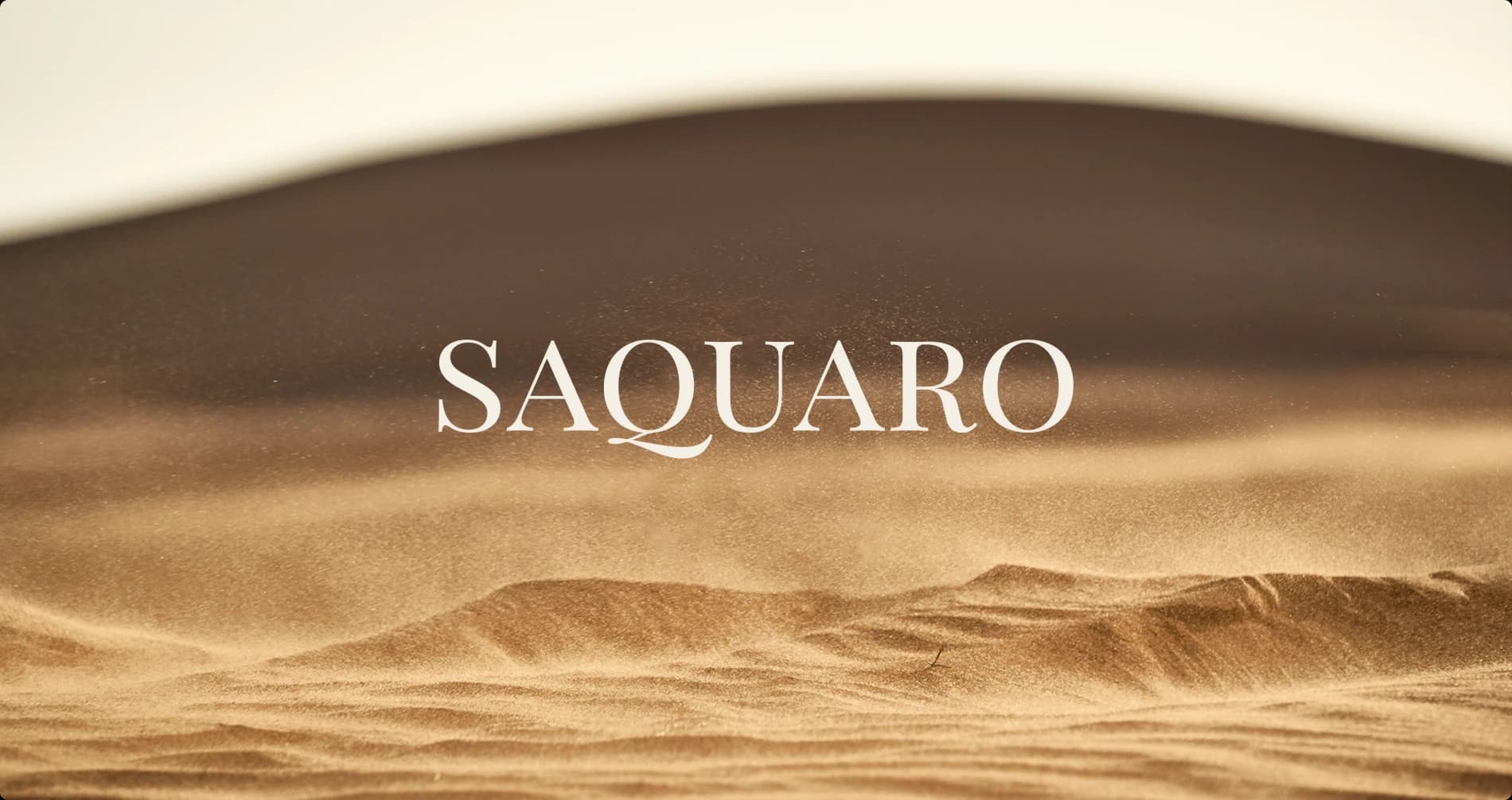 Saquaro